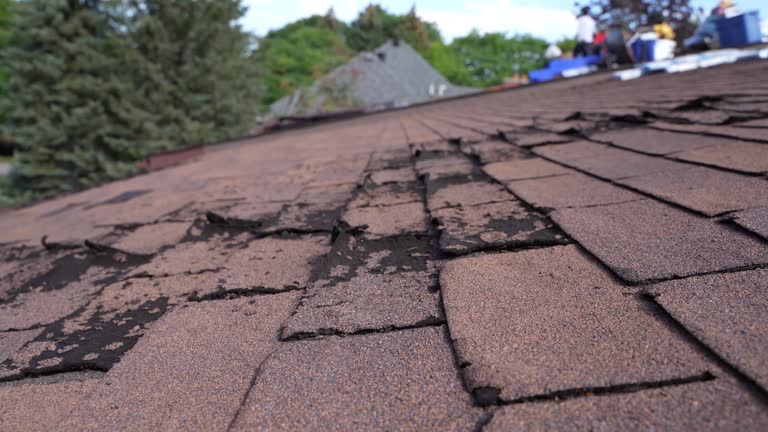 Best Asphalt Shingles Roofing  in Unalaska, AK